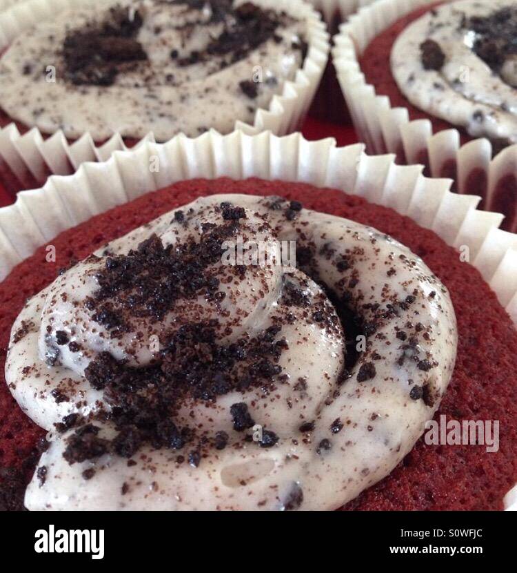 Red Velvet Cupcakes with Oreo Cream Cheese Frosting Stock Photo - Alamy