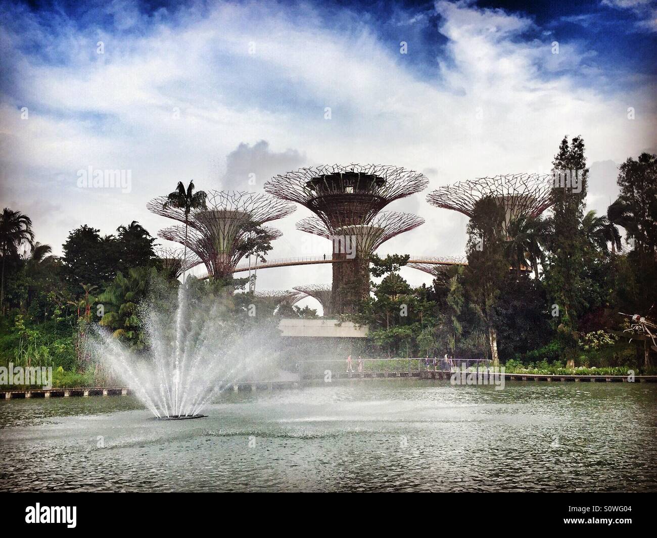 Singapore supertrees and fountain Stock Photo