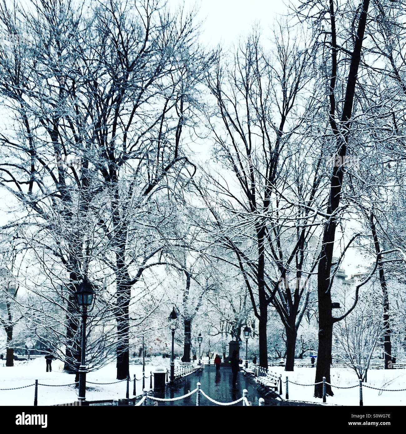 Walking In A Winter Wonderland (Washington Square Park Stock Photo - Alamy