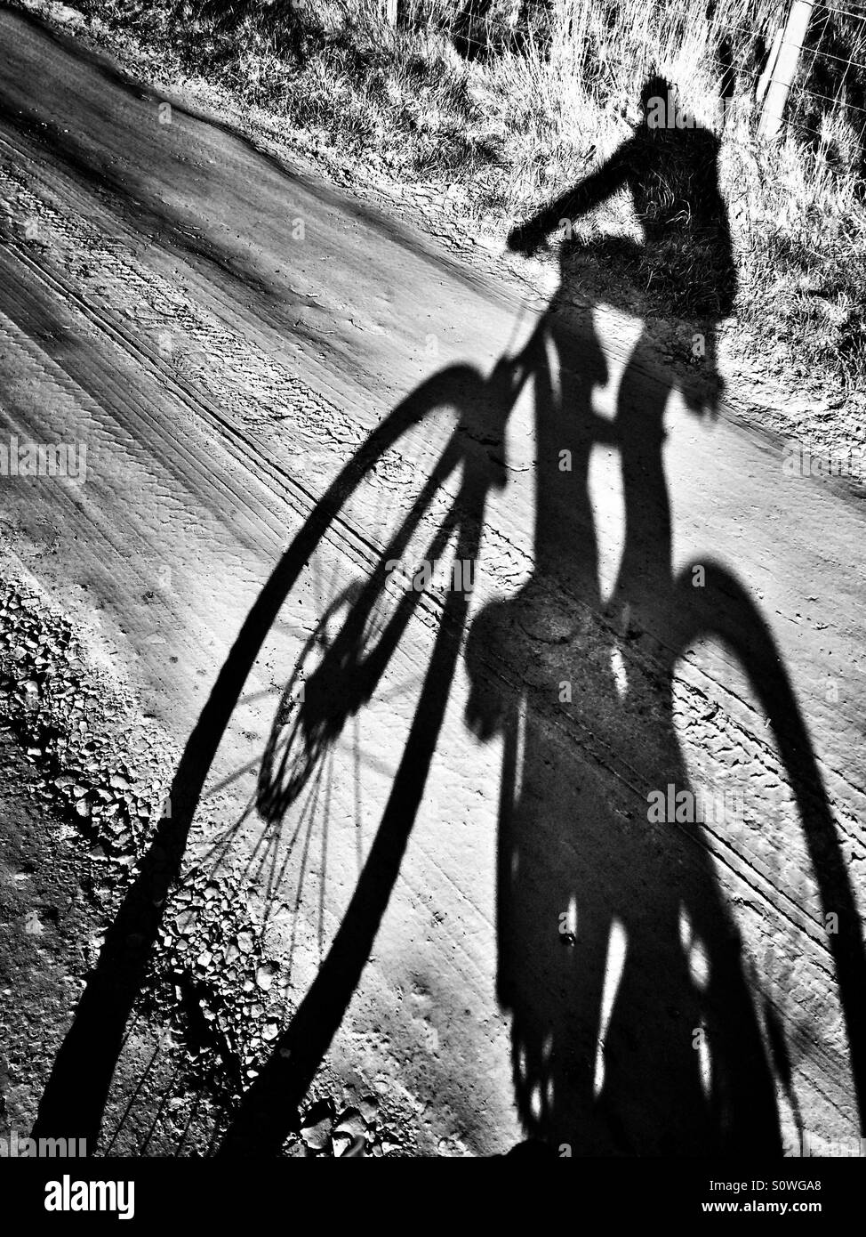 Mountain bike rider shadow  Selfie on a dirt track - Smartphone Captured Stock Image