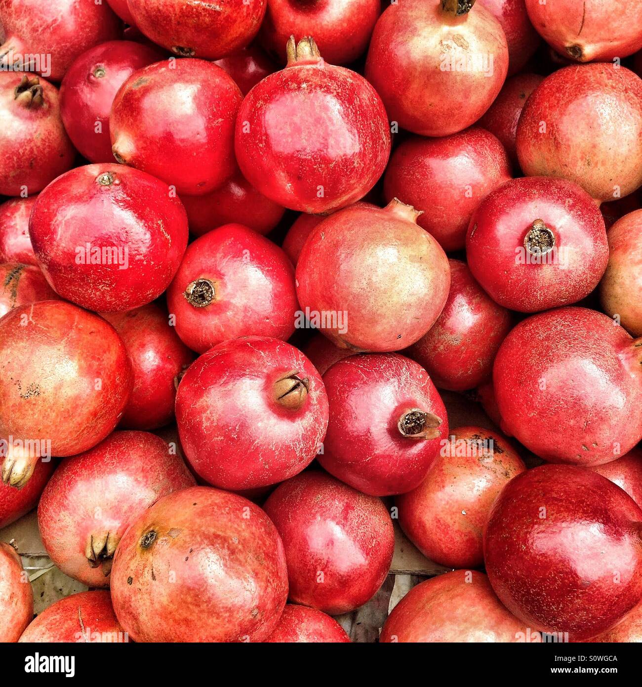 Pomegranates at the market Stock Photo