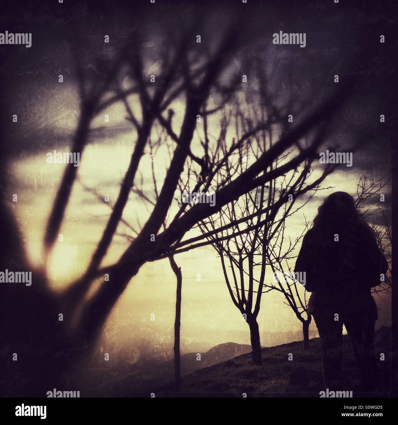 Woman dream Stock Photo