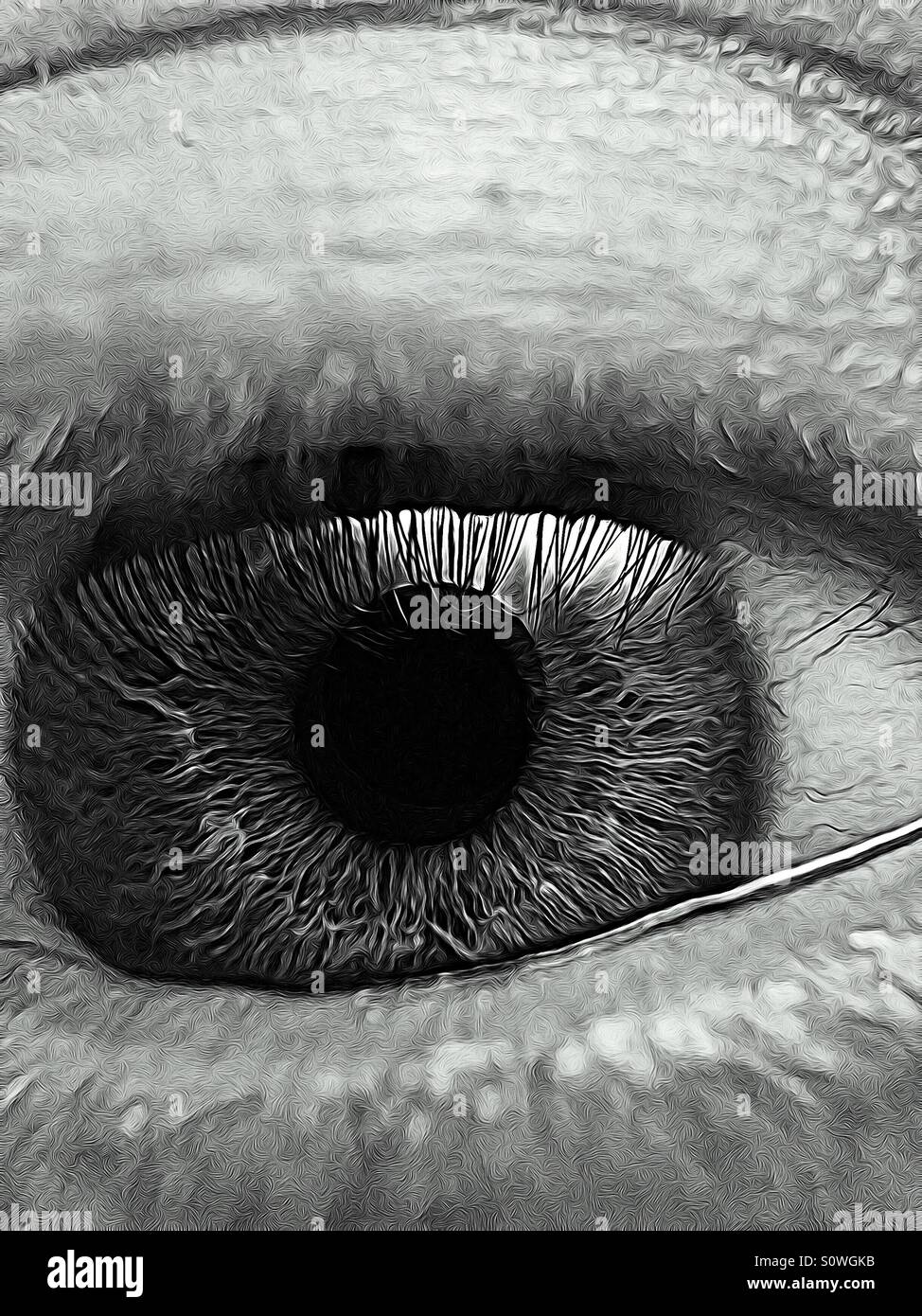 Black and white eye closeup Stock Photo Alamy