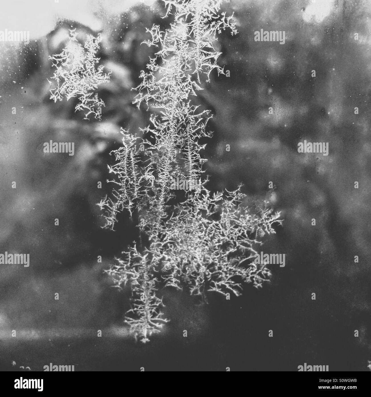 Frost On Window Stock Photos & Frost On Window Stock Images - Alamy