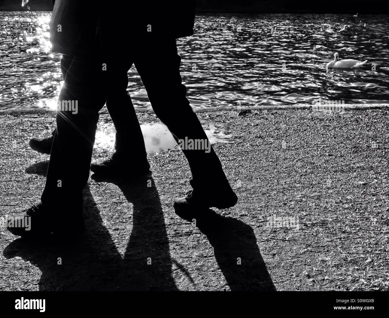Silhouette of people walking - Smartphone Captured Stock Image