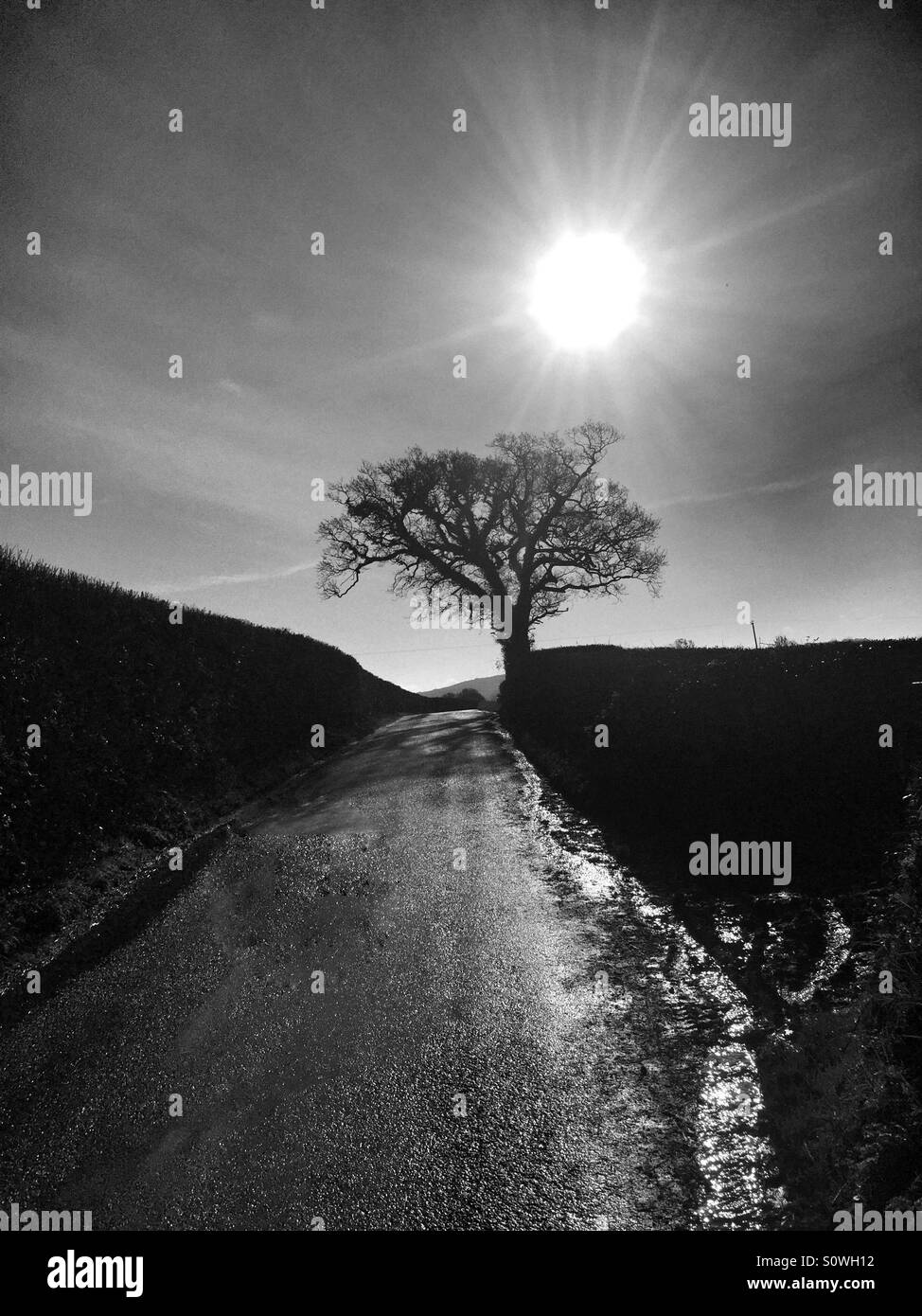 Country Road Stock Photo Alamy