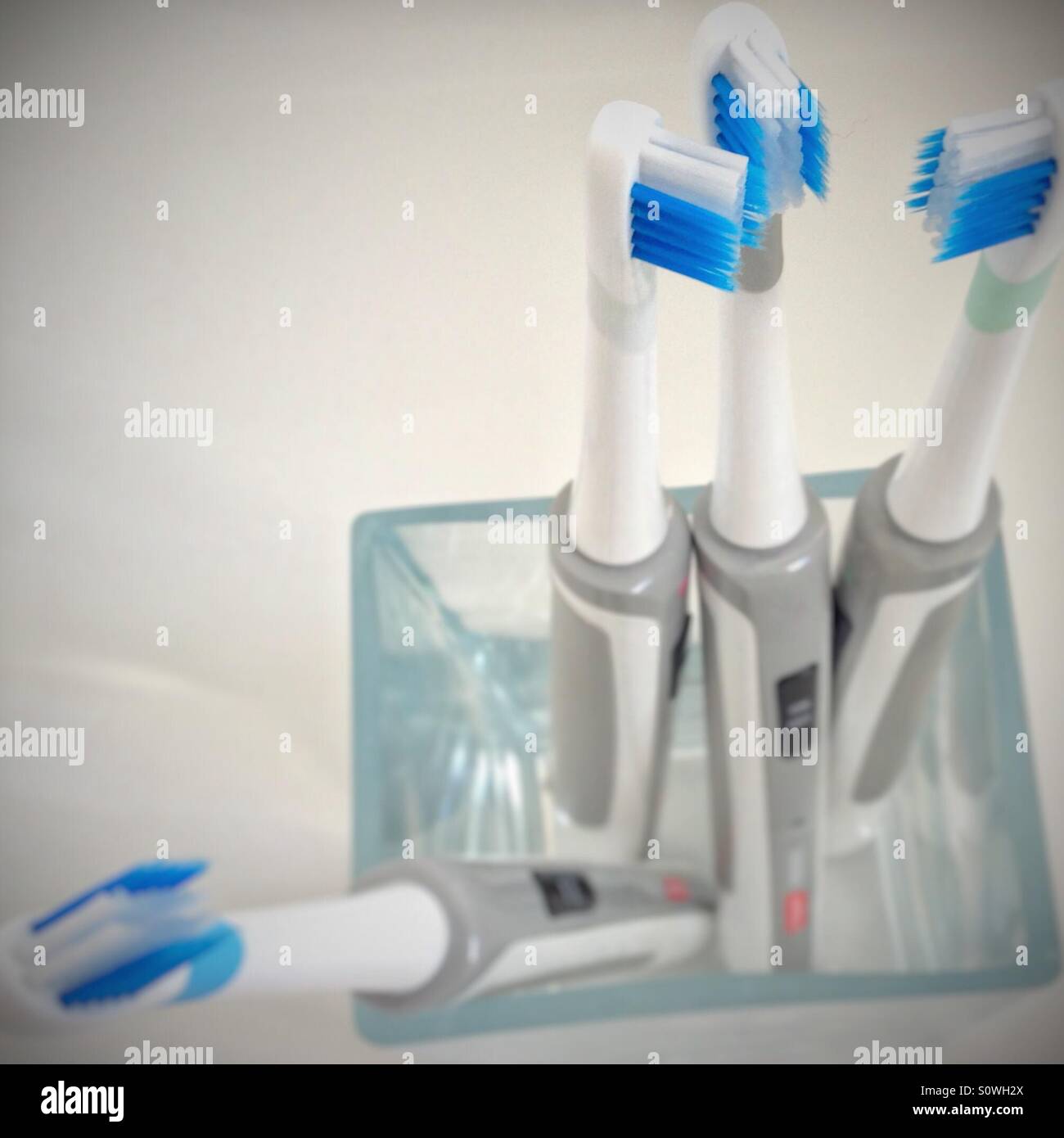 Family of toothbrushes - Smartphone Captured Stock Image