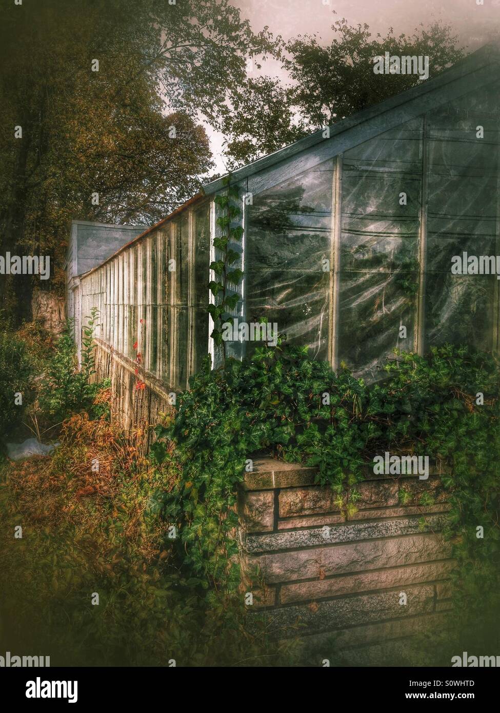 Abandoned Greenhouse High Resolution Stock Photography and Images - Alamy