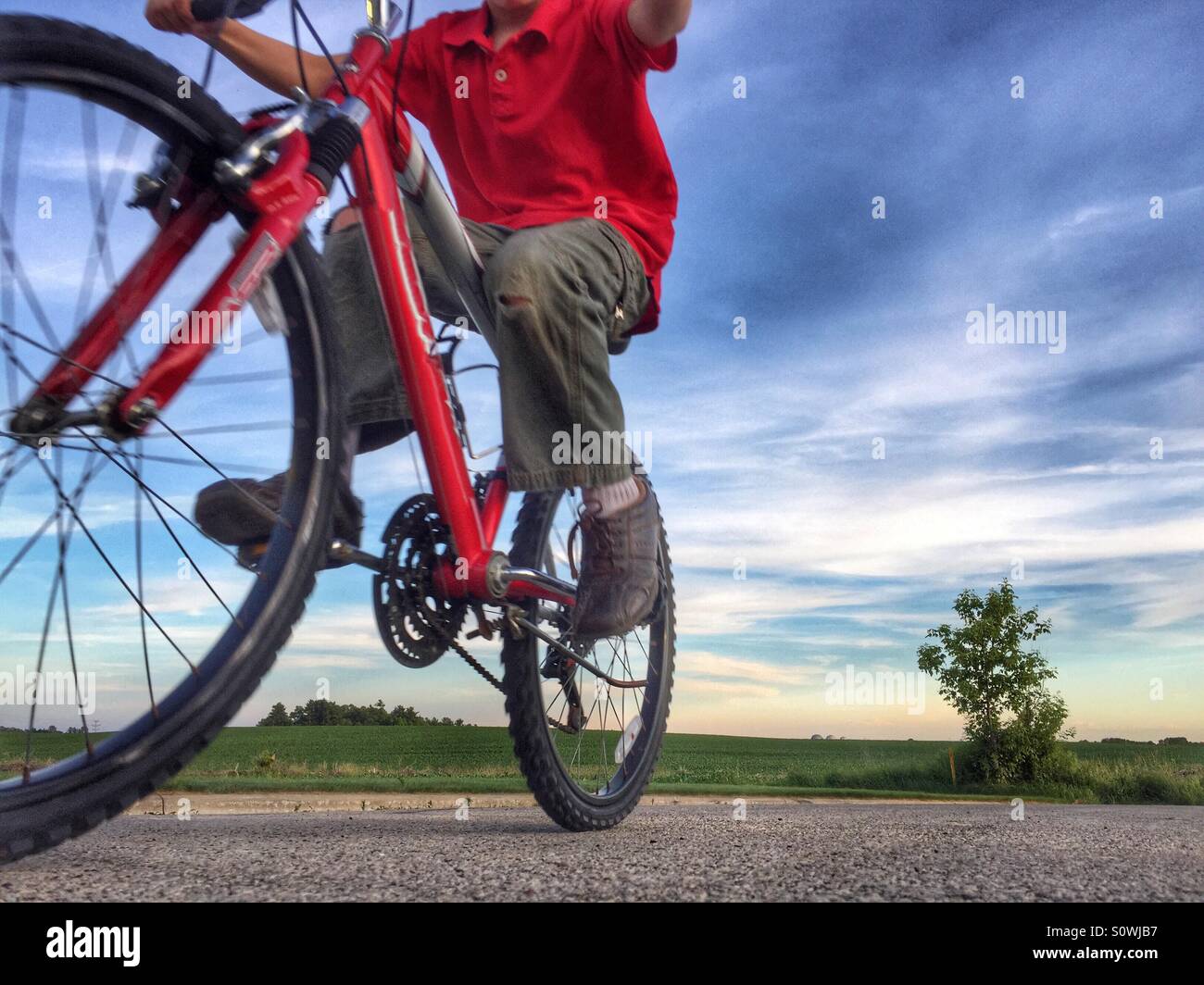 looking for a bike
