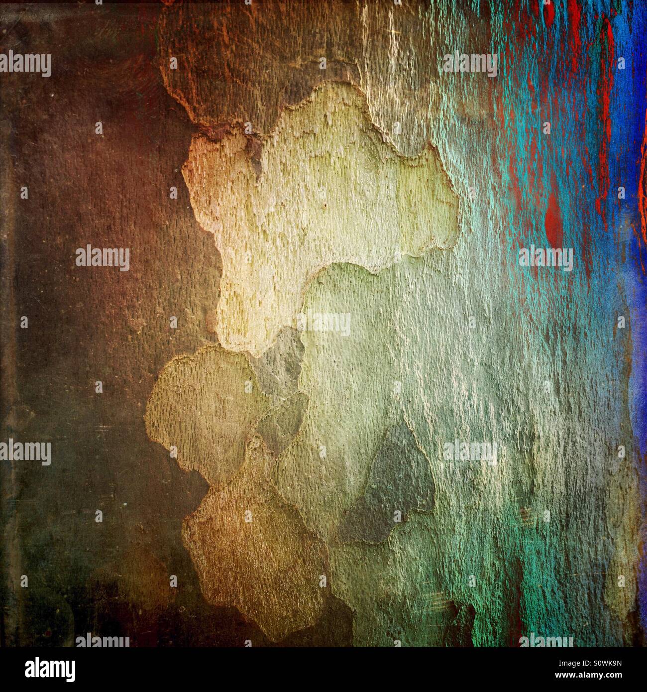 Closeup of the bark of a tree - Smartphone Captured Stock Image