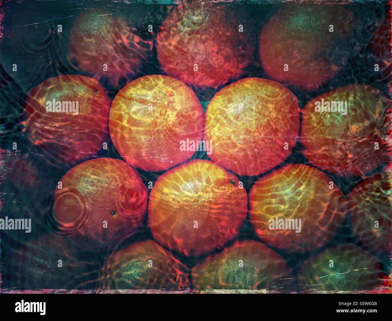 Oranges in the water - Smartphone Captured Stock Image Oranges in the water - Smartphone Captured Stock Image