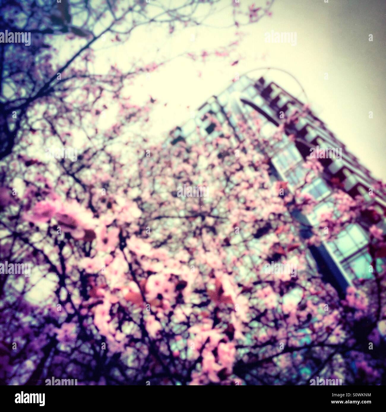 My Image 7
