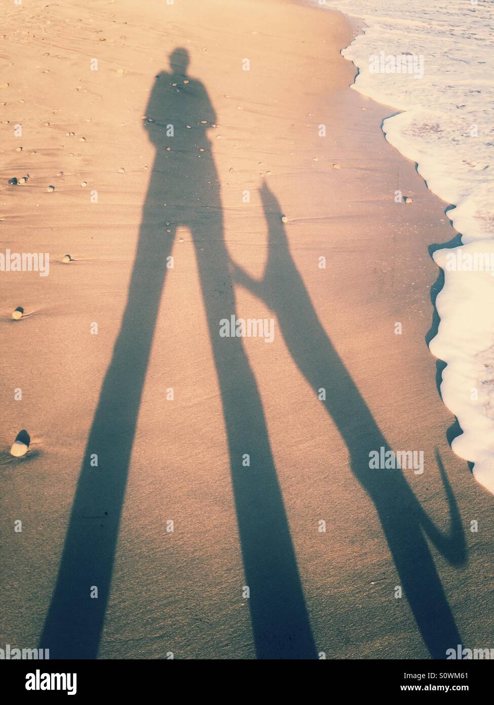 My dog jumping up on me Stock Photo Alamy