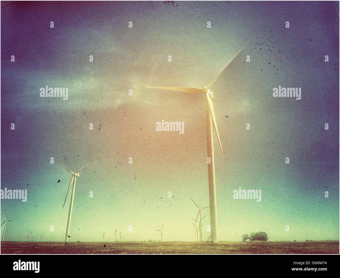 Wind Farm, Western Cape Province, South Africa. - Smartphone Captured Stock Image