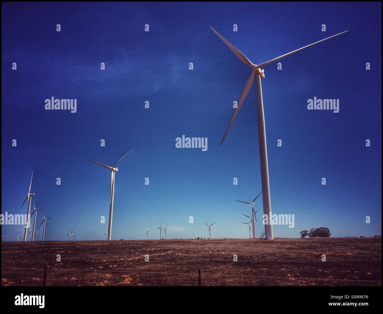 Wind turbines , Western Cape Province, South Africa. - Smartphone Captured Stock Image
