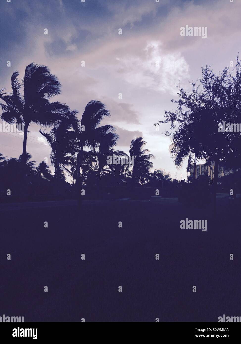 wmma 5 silhouette wmma 5 silhouette
