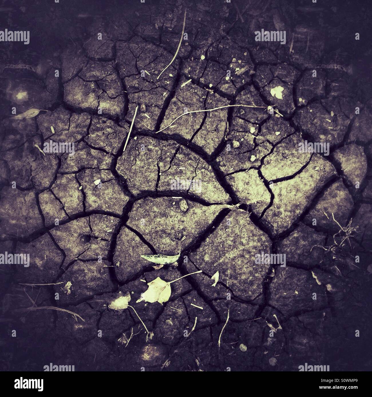 Dried cracked earth - Smartphone Captured Stock Image