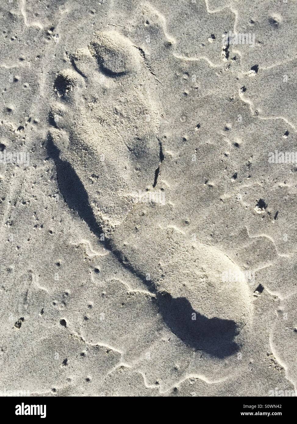 Footprint in the sand Stock Photo - Alamy