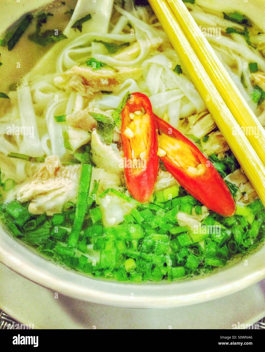 Vietnamese chicken pho - Smartphone Captured Stock Image