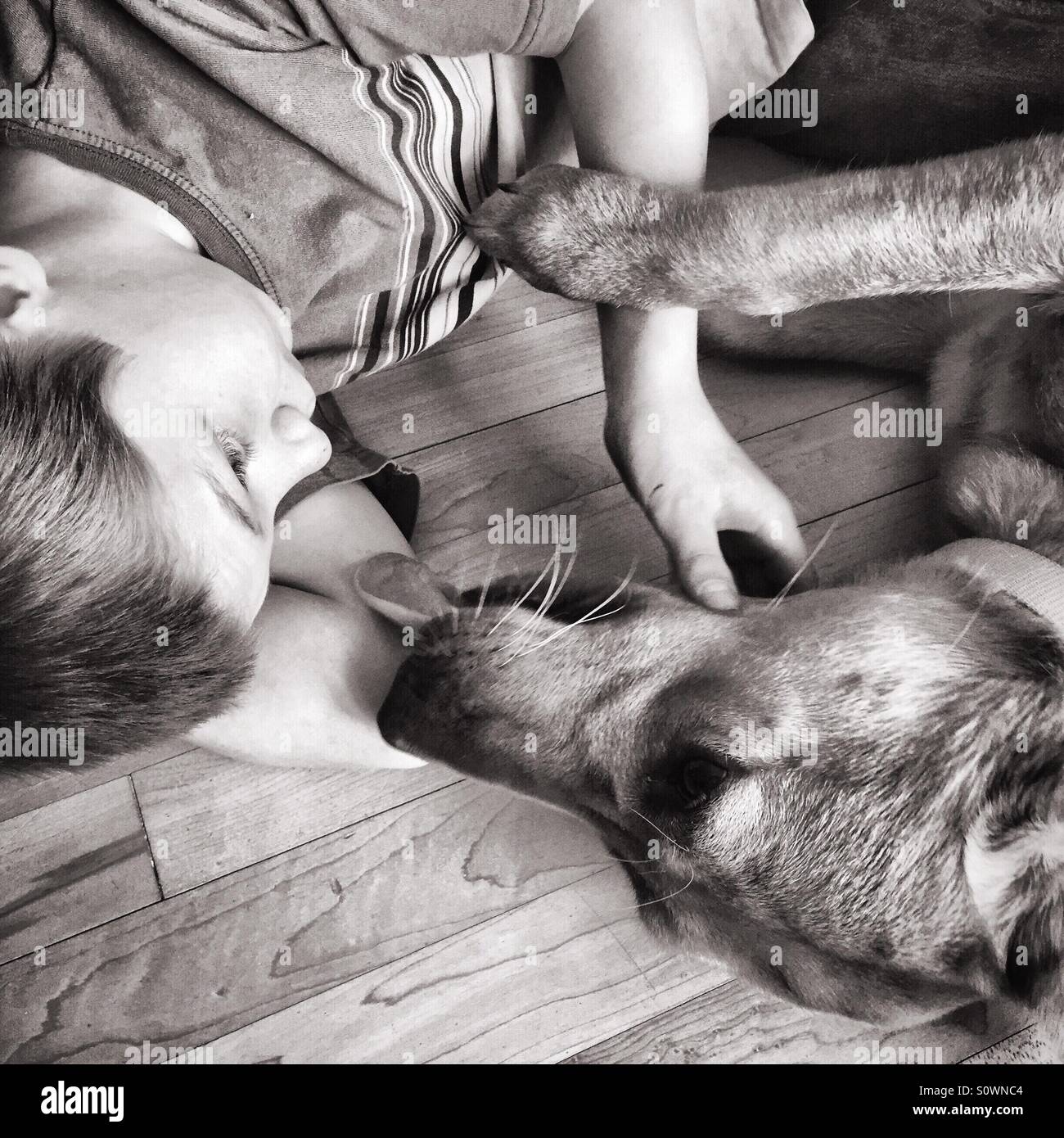 A boy and his dog showing affection toward each other Stock Photo