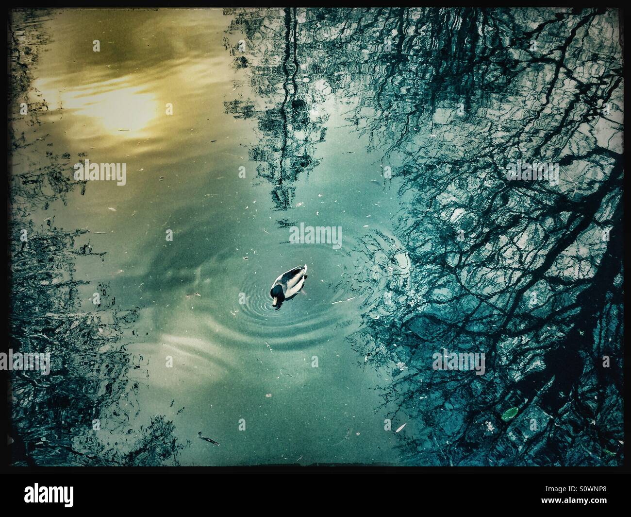 Sun reflections water hi-res stock photography and images - Alamy