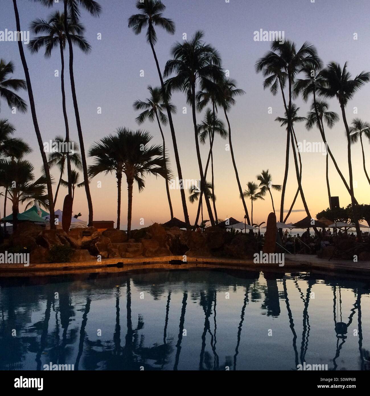 Hawaii sunset palm trees hi-res stock photography and images - Alamy