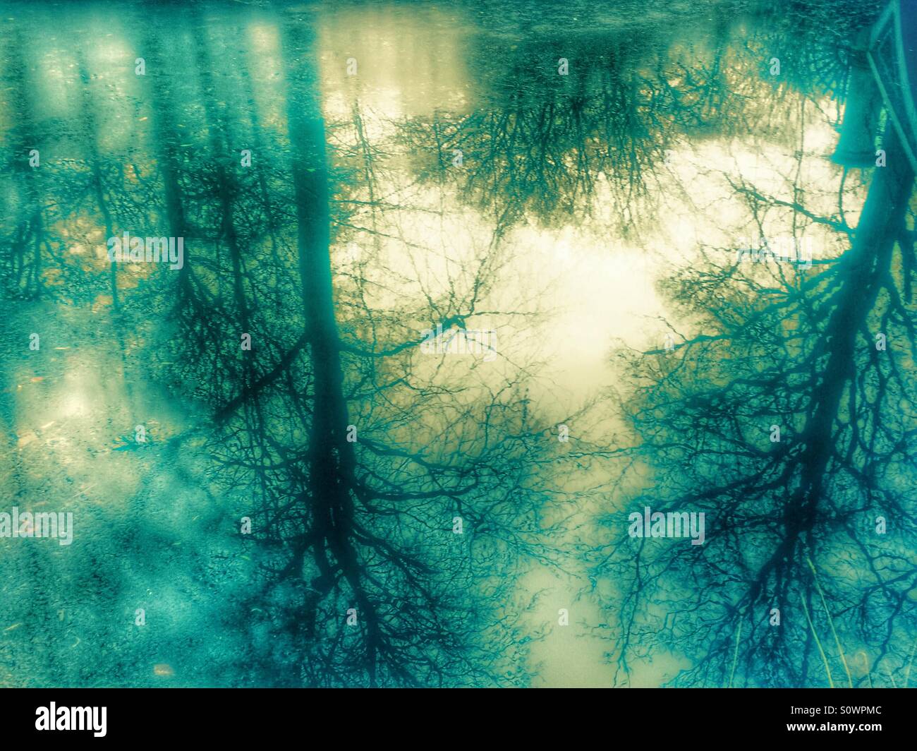Ice on a lake, and reflections of trees in the lake. Stock Photo