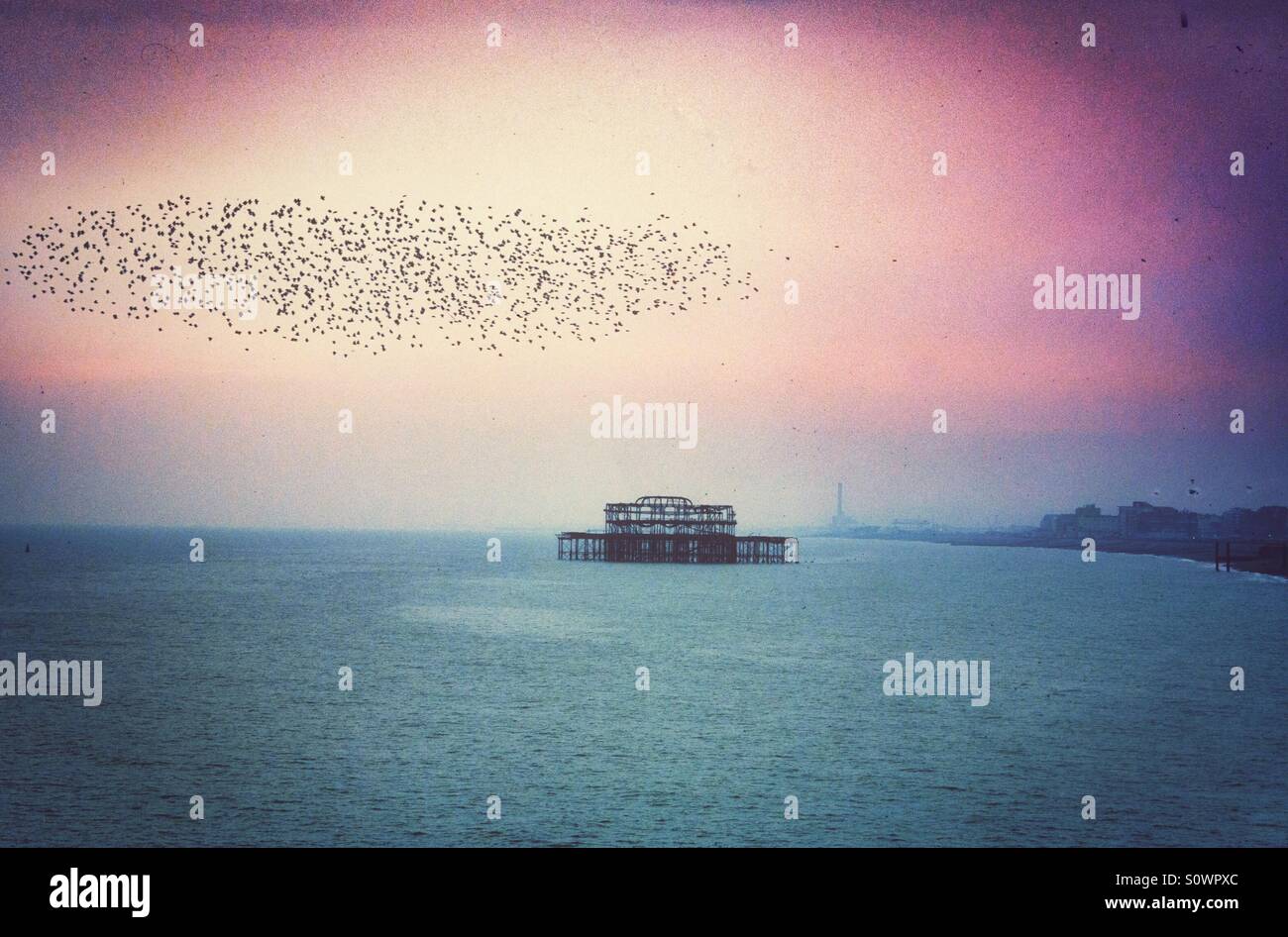 Starlings in murmuration with Brighton's derelict west Pier in the background - Smartphone Captured Stock Image