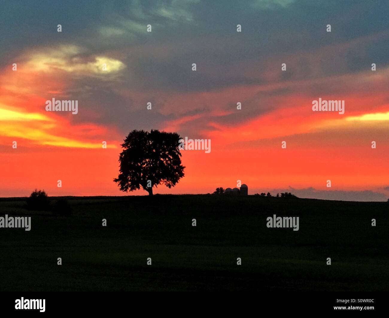 Silhouette of a tree at sunset in a rural setting Stock Photo - Alamy