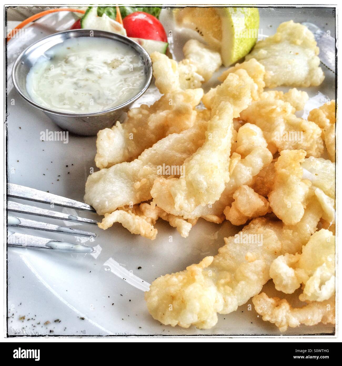 Fried calamari with tartar sauce Stock Photo Alamy
