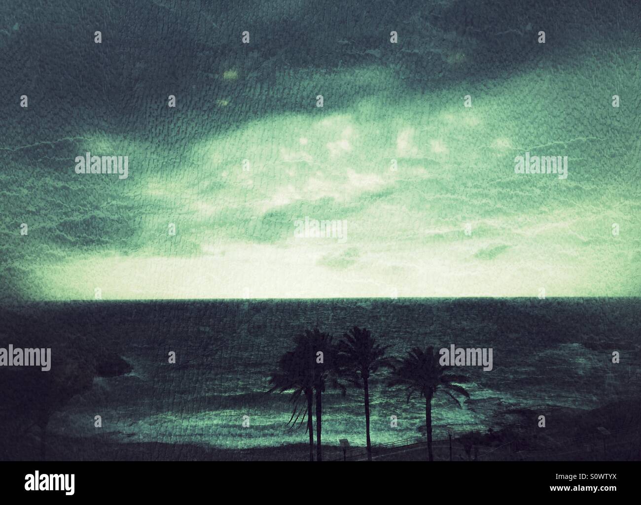 Sea view with three palm trees - Smartphone Captured Stock Image