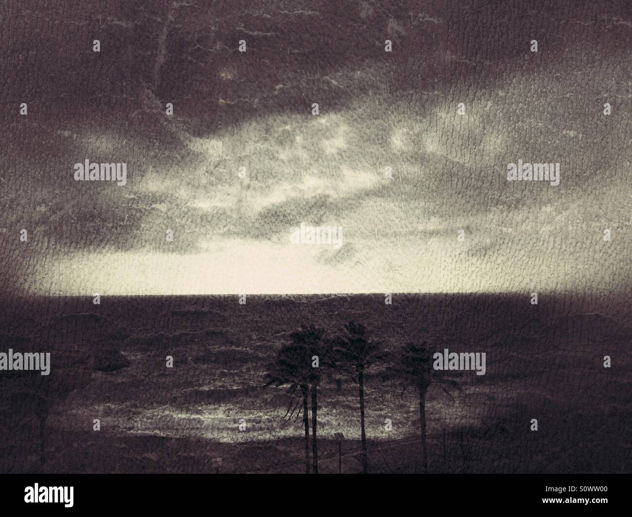 Sea view with three Palms - Smartphone Captured Stock Image