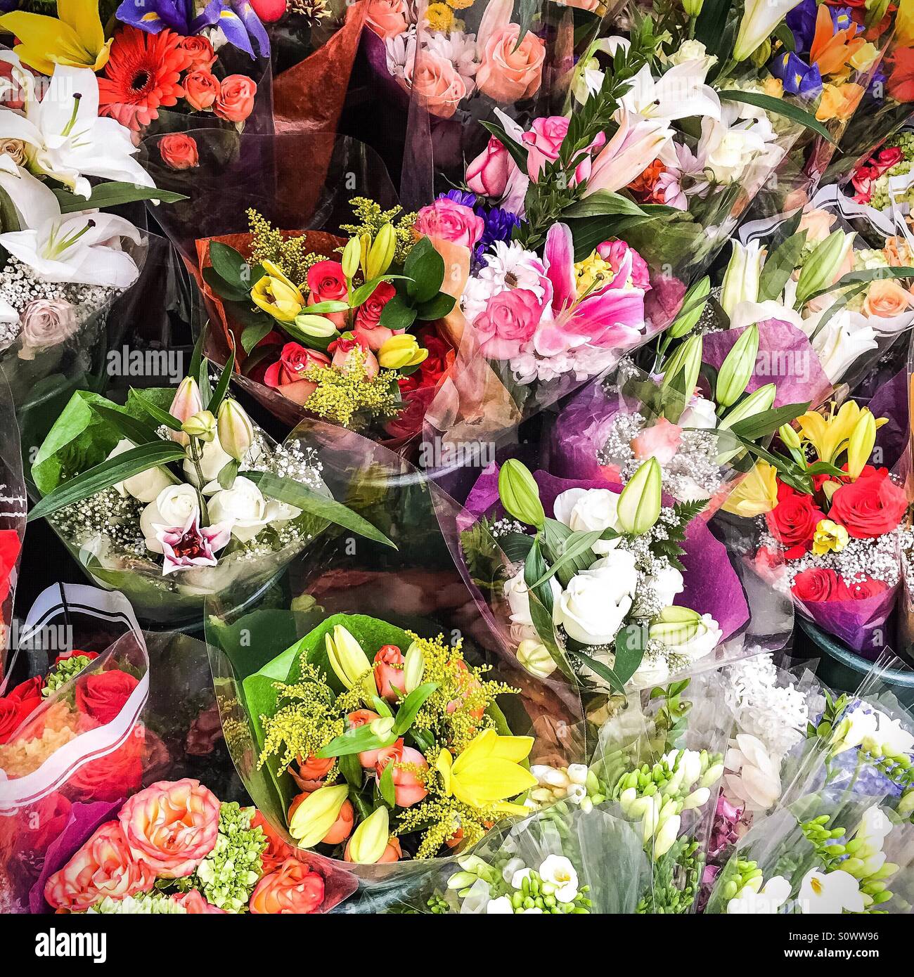 Flowers for sale Stock Photo Alamy