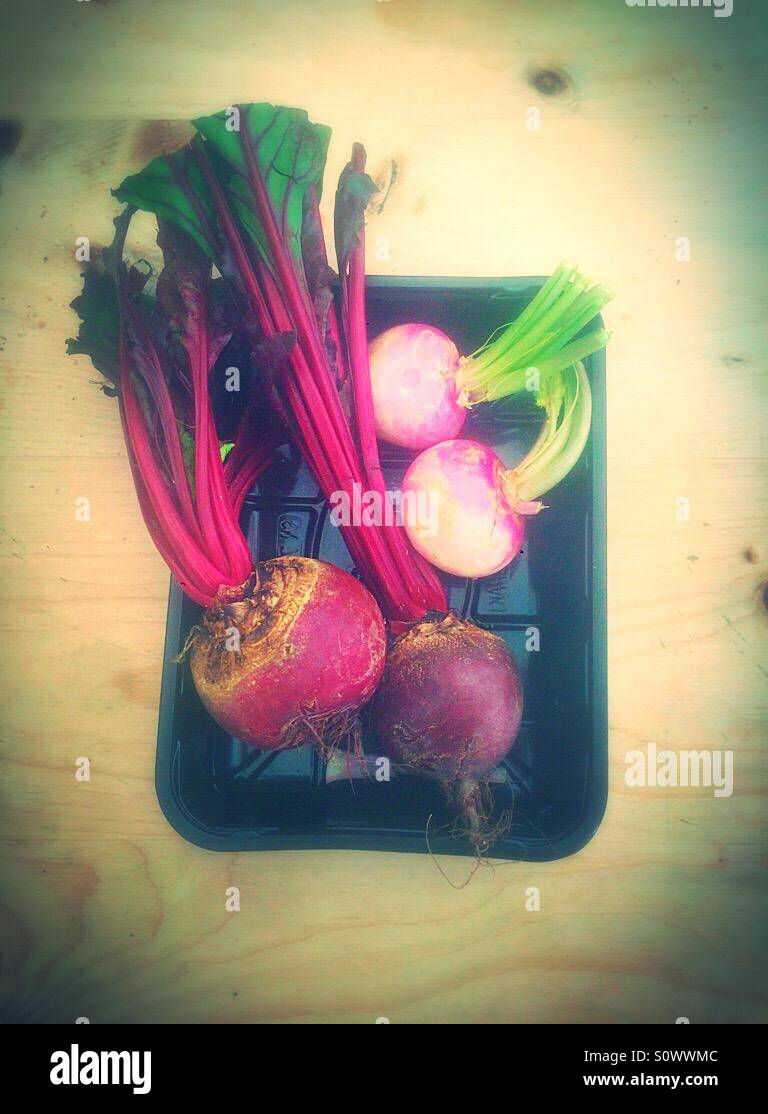 Spring beetroot and baby turnips Stock Photo Alamy