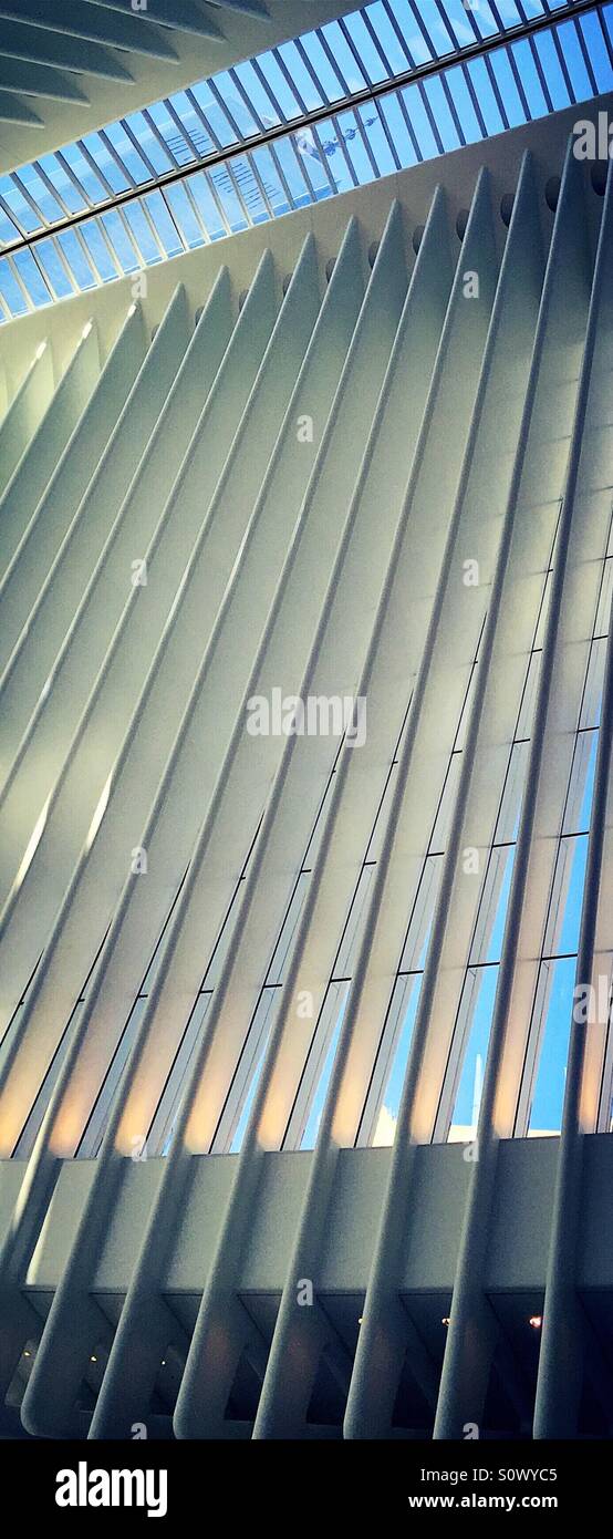 The oculus at the World Trade Center transportation hub is comprised of white steel ribs, NYC. - Smartphone Captured Stock Image