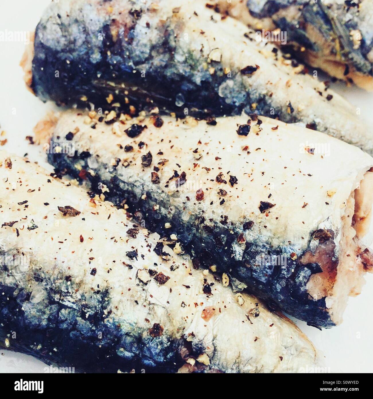 Seasoned Sardines Stock Photo