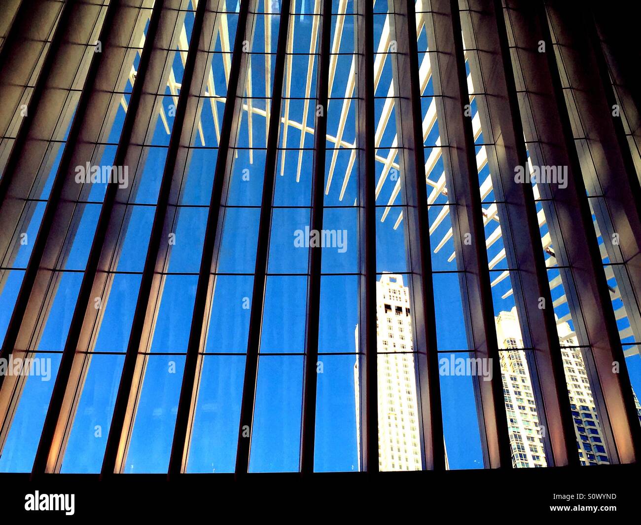Skyscrapers in the financial District can be seen through the glass walls of the oculus at the World Trade Center transportation hub,NYC - Smartphone Captured Stock Image