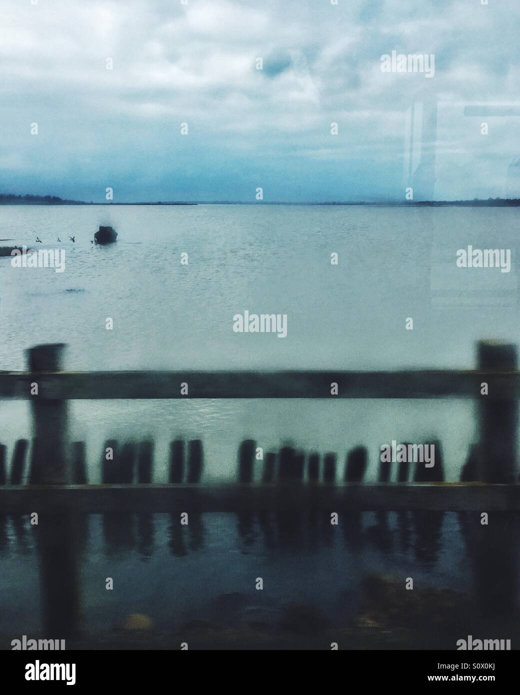 View from the bus on the way across from Mersea Island - Smartphone Captured Stock Image