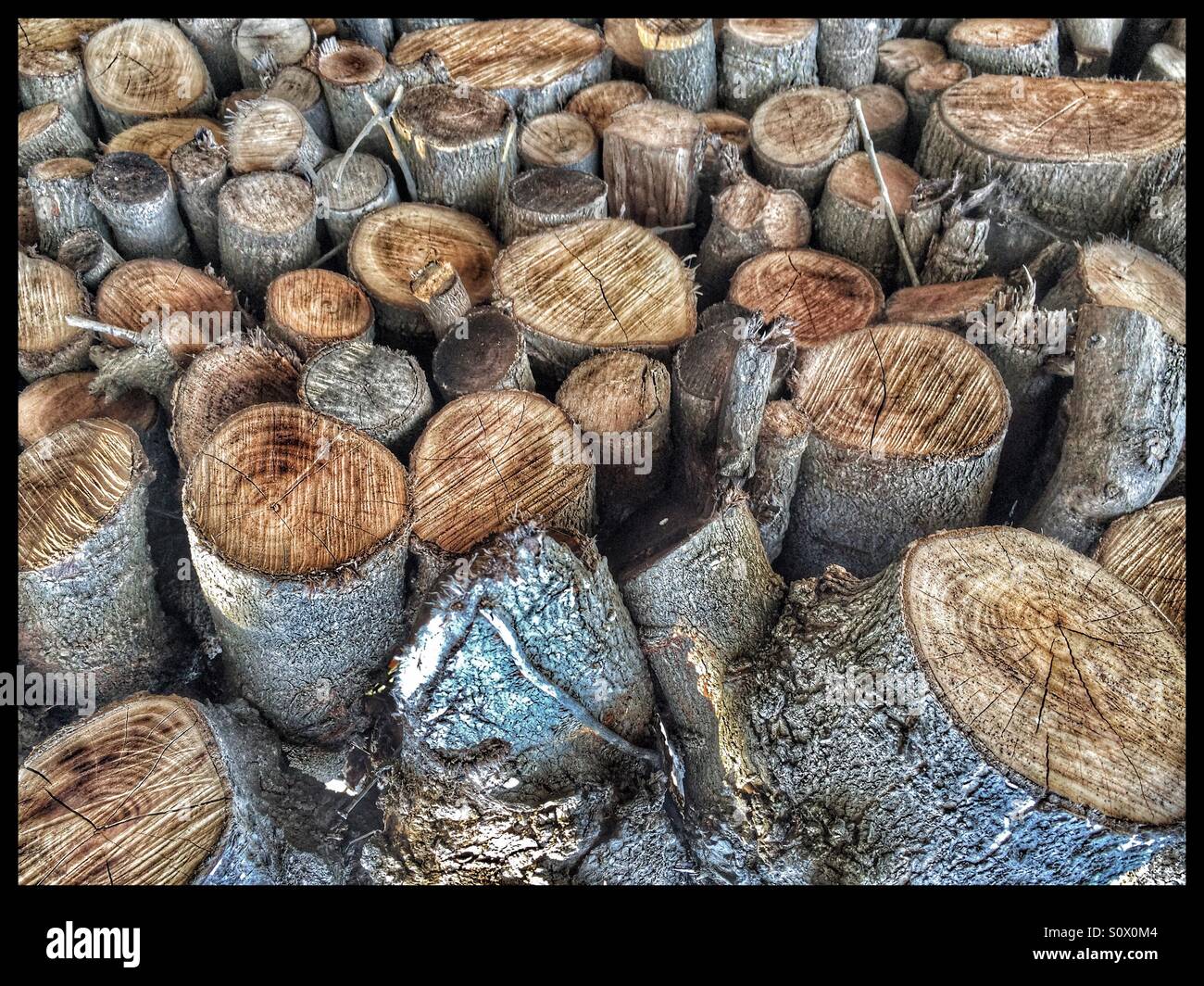 Fire wood. - Smartphone Captured Stock Image
