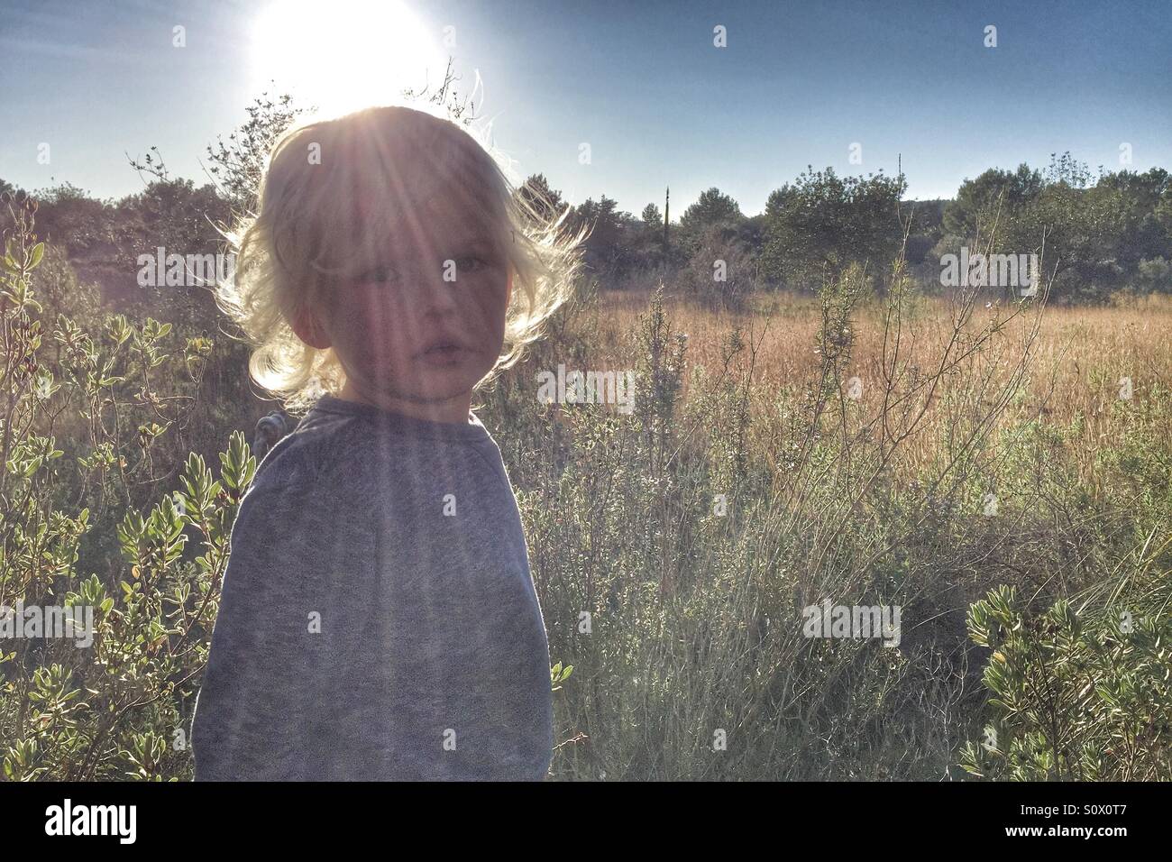 Boy in a sunny field Stock Photo