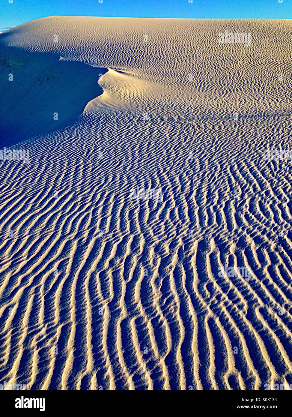 Dune at sunset - Smartphone Captured Stock Image