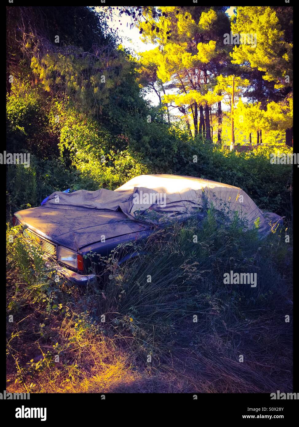 Car abandoned in the woods Stock Photo