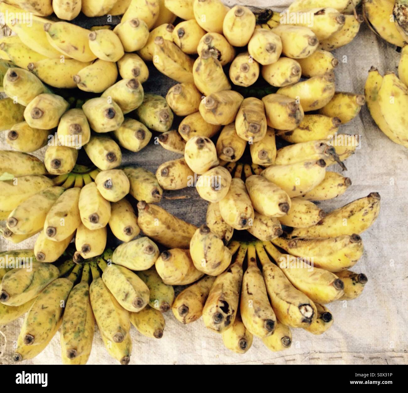 Bananas - Smartphone Captured Stock Image
