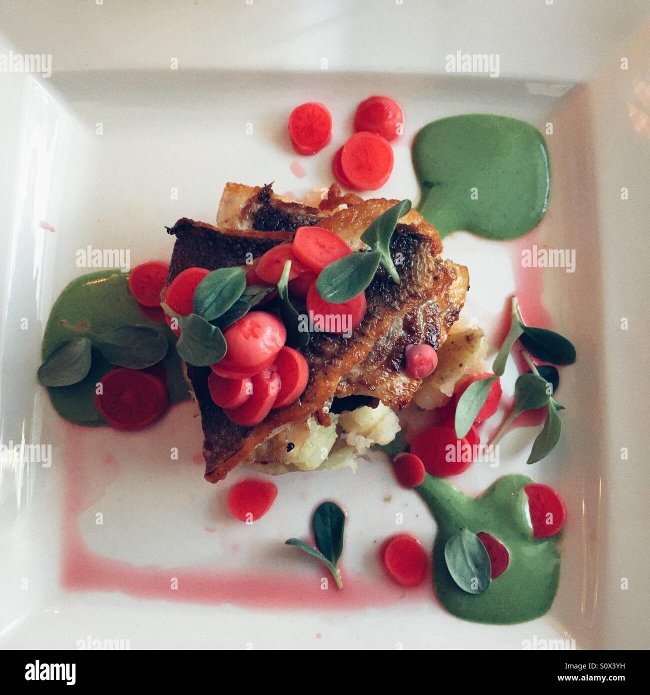 Colourful dish of sea bass and pickled radish - Smartphone Captured Stock Image