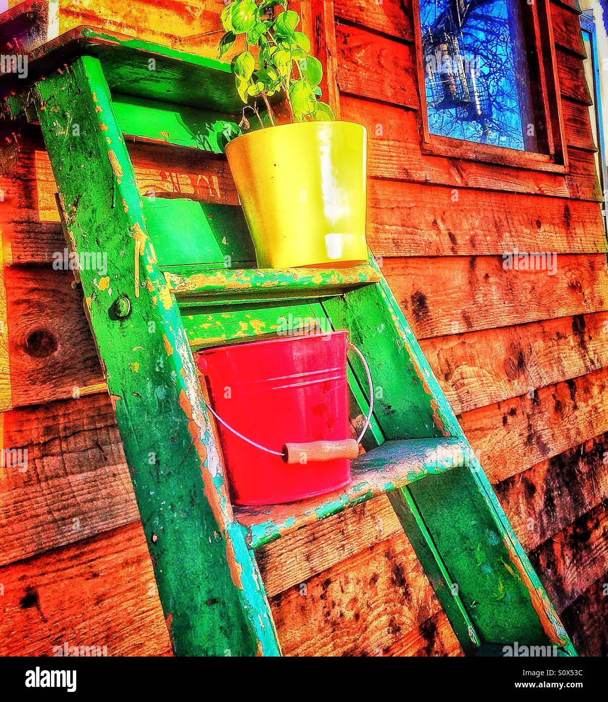 Garden colour - Smartphone Captured Stock Image