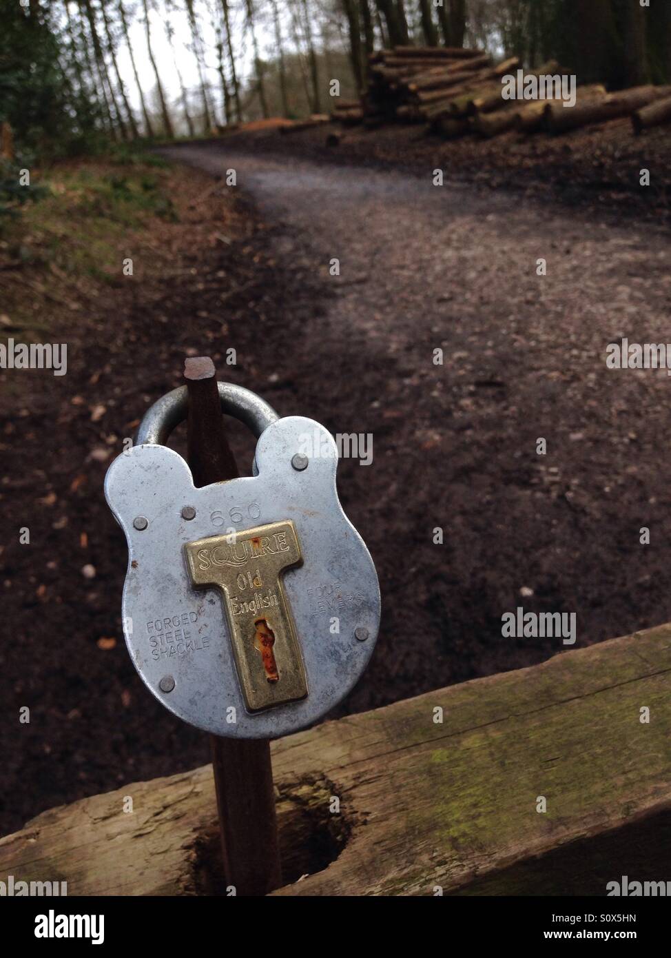 Padlock on entrance to woodland. Padlock close and in focus but woods blurred beyond. - Smartphone Captured Stock Image