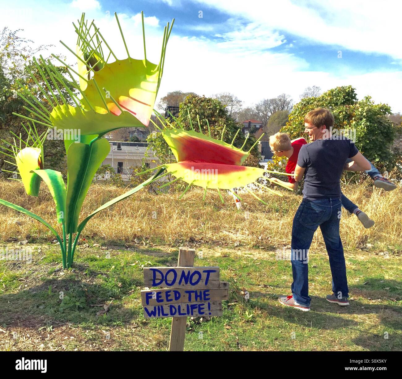 Venus flytrap hires stock photography and images Alamy