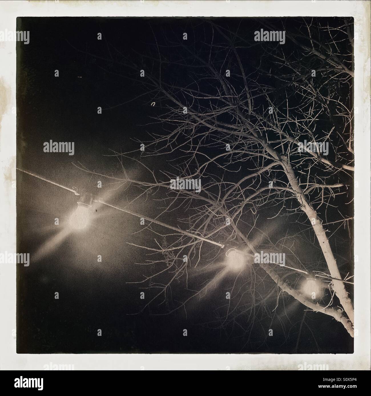 Outdoor lights on at night. - Smartphone Captured Stock Image