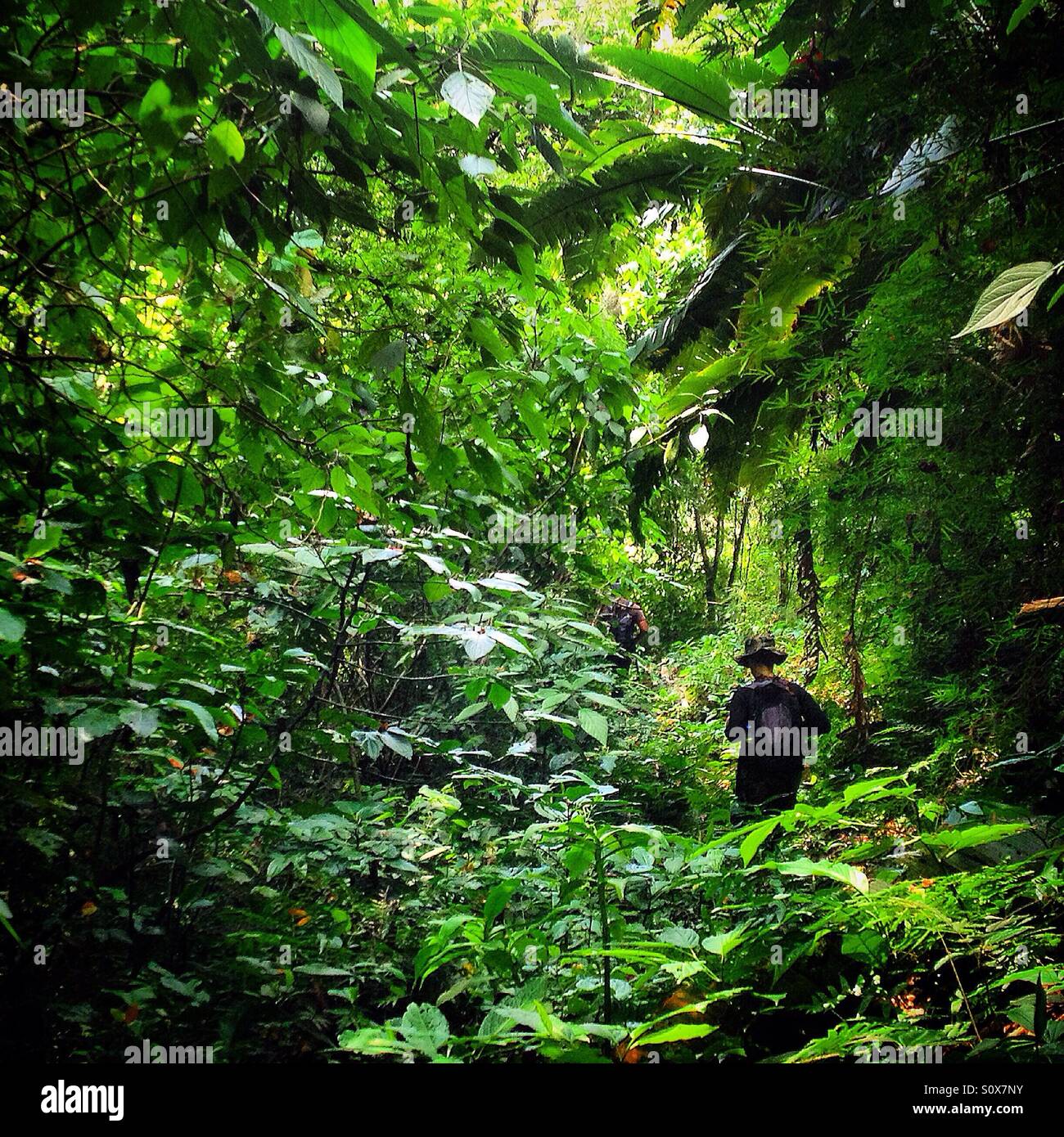Travelers walk in the jungle in Chiapas, Mexico - Smartphone Captured Stock Image