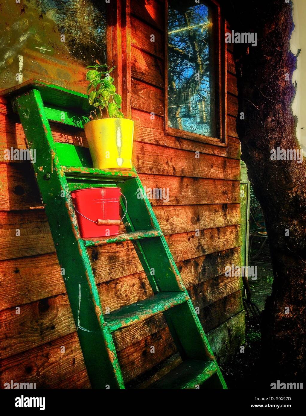The garden shed. - Smartphone Captured Stock Image